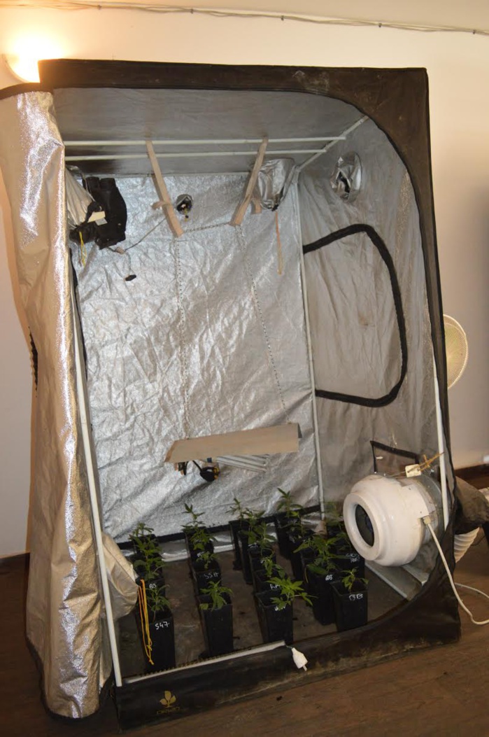 Mbacké : Comment la Police a réussi à mettre hors d’état de nuire la famille du narco-trafiquant Mbacké : Comment la Police a réussi à mettre hors d’état de nuire la famille du narco-trafiquant