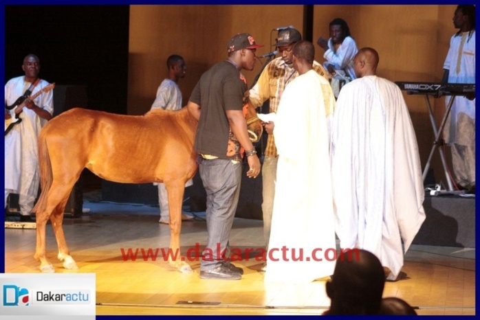 En plus de l'argent et des tissus, voici le cheval offert à Coumba Gawlo par Serigne Mbacké Ndiaye