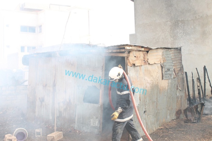 Incendie près du Cices Près d’une dizaine de baraques réduites en cendres (IMAGES) Incendie près du Cices Près d’une dizaine de baraques réduites en cendres (IMAGES)