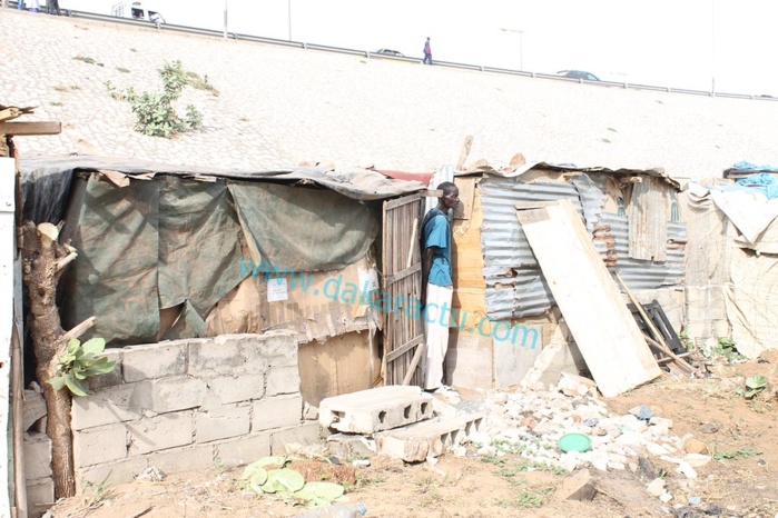 Incendie près du Cices Près d’une dizaine de baraques réduites en cendres (IMAGES) Incendie près du Cices Près d’une dizaine de baraques réduites en cendres (IMAGES)