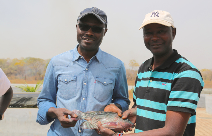 Kédougou, du poisson frais au DAC d’Itato