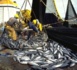 Port autonome de Dakar (Pad) : Deux navires arraisonnés pour pêche illicite dans nos eaux