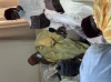 TIVAOUANE -Serigne Maodo Sy Abdou au President Sall : «  Votre sérénité me fascine ! »