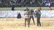 Combat de gladiateurs entre Anaconda et Thiatou Nguéwel....mp4