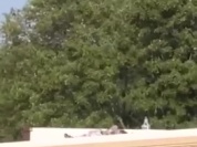 -4816341122288413346.mp4