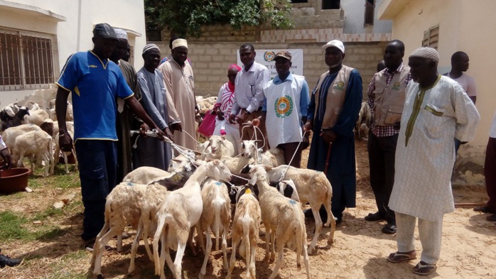 Remise de 207 moutons à des familles démunies : l’appui de HAI sollicité aussi pour les veuves d’hommes de tenue