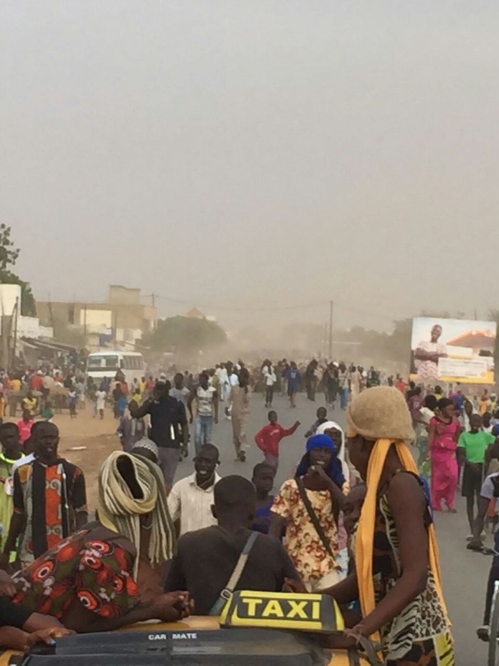 MAGAL 2016 : L'arrivée de près de 5000 boeufs à Dianatou Mahwa chez Cheikh Béthio Thioune (IMAGES)