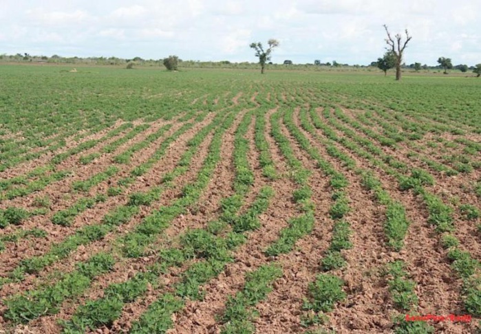 PRODAC : Bizarrerie autour du démarrage du programme Green 2000