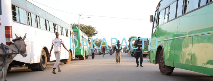 Retour des déplacés Gambiens : Des bus à disposition à la frontière