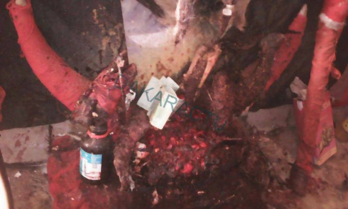 TOUBA - Un féticheur asperge de vin un coq, le tue et se fait épingler à quelques lieues de la maison du Khalife 