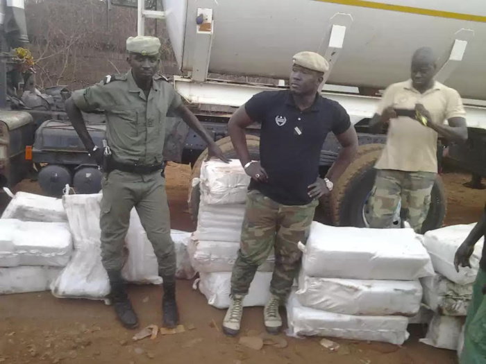 "Près de mille kilogrammes" de chanvre indien saisis à Kaolack et Fatick en six mois (Douanes) "Près de mille kilogrammes" de chanvre indien saisis à Kaolack et Fatick en six mois (Douanes)