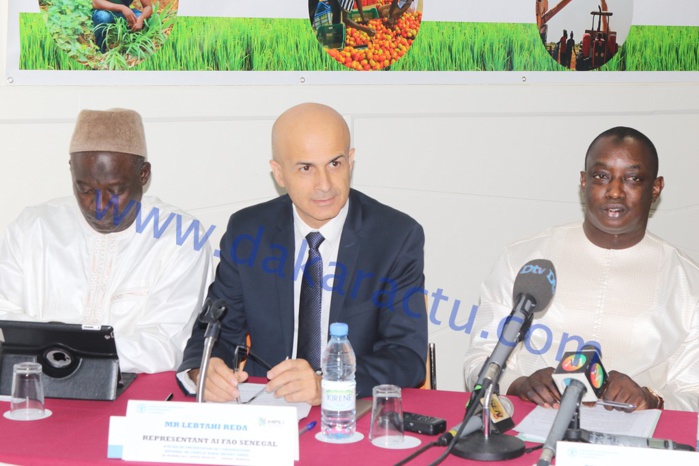 Emploi des jeunes : 800 millions de la BAD pour la mise en place d’un système d’information national Emploi des jeunes : 800 millions de la BAD pour la mise en place d’un système d’information national