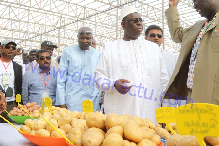  Les images de la tournée économique du président Macky Sall à Saint-Louis et Dagana 