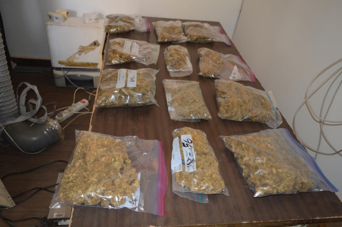 LUTTE CONTRE LA DROGUE : Un ressortissant français à la tête d'un vaste réseau de production organique et de trafic d'une nouvelle variété de drogue arrêté à Toubab Dialaw