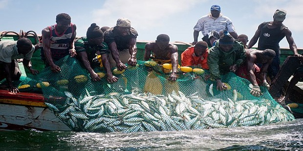 Les acteurs de la pêche se préparent à accueillir chaleureusement le Président Macky Sall ce jeudi à Potou