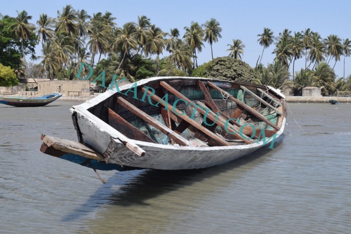 Drame de Betenty : "L'arme du crime" (PHOTOS) Drame de Betenty : "L'arme du crime" (PHOTOS)