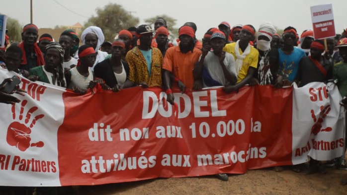 Litige foncier dans les communes de Dodel et Demette : Les populations disent Non à  l’affectation de 10.000 ha  de leurs terres à Afri Partners