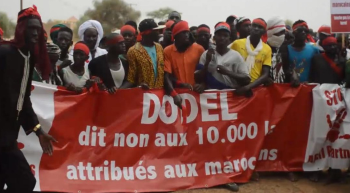 Conflit foncier  à Dodel et Demette : Le Chef de l’État met un terme au projet Afripartners
