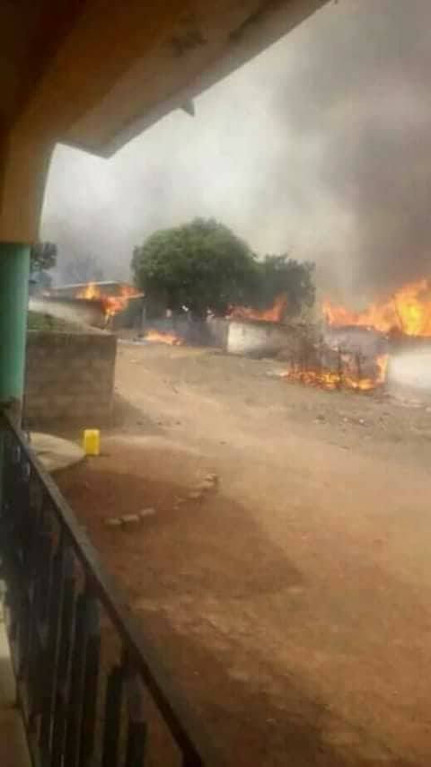 Heurts entre militants de Cellou Dalein et forces de l’ordre : Conakry à feu et à sang ce mercredi (images choquantes)