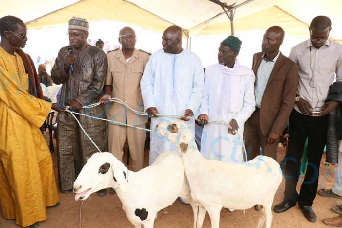 Autosuffisance en moutons : La Commune de Ngoundiane offre 150 moutons à des éleveurs Autosuffisance en moutons : La Commune de Ngoundiane offre 150 moutons à des éleveurs