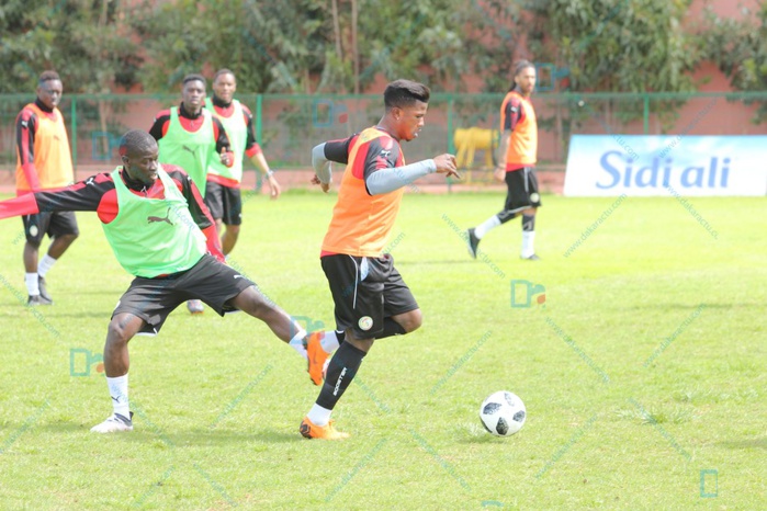 1er galop des Lions à Casablanca : Décrassage et réveil musculaire au menu, Fallou, Gana et Mame Biram ménagés 1er galop des Lions à Casablanca : Décrassage et réveil musculaire au menu, Fallou, Gana et Mame Biram ménagés