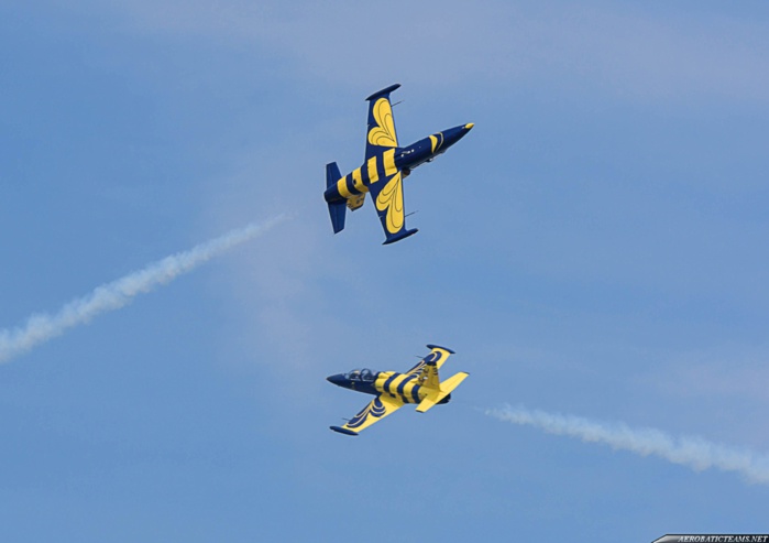 4 AVRIL / SHOW DES L-39- Ce flou qui entoure le discours de l'armée... Ténèbres sur une acrobatie aérienne... Qui a payé la facture de Baltic Bees? 4 AVRIL / SHOW DES L-39- Ce flou qui entoure le discours de l'armée... Ténèbres sur une acrobatie aérienne... Qui a payé la facture de Baltic Bees?