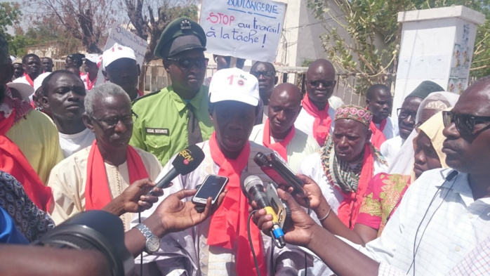 1er Mai / Kaolack : La Cnts porte les dossiers des 339 travailleurs des Salins du Sine-Saloum et de la commune de Kaolack 1er Mai / Kaolack : La Cnts porte les dossiers des 339 travailleurs des Salins du Sine-Saloum et de la commune de Kaolack