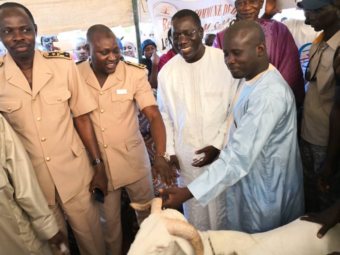 DABALY - Samba Sall fait électrifier sa commune et compte aborder sereinement le dernier virage vers 2019 DABALY - Samba Sall fait électrifier sa commune et compte aborder sereinement le dernier virage vers 2019