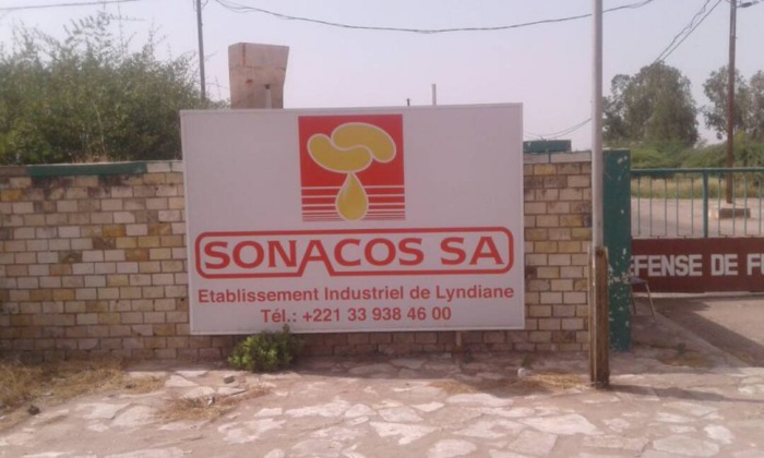 Bilan de la campagne de commercialisation de l'arachide : La Sonacos Lyndiane solde ses dettes... Sur 21 milliards, l'usine ne doit désormais que 9 milliards aux opérateurs
