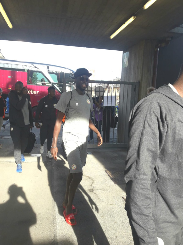 Les Lions de retour à Vittel