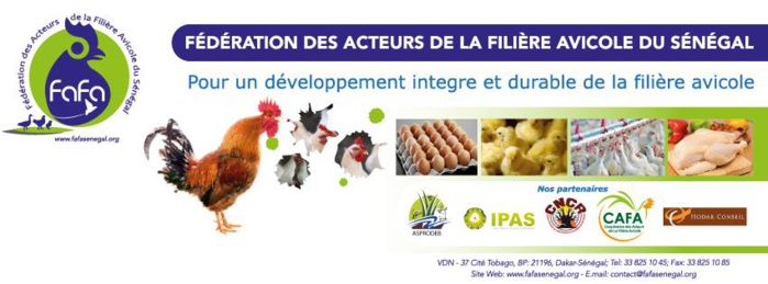 Ouverture prochaine de la filière avicole au marché extérieur : la FAFA alerte sur les menaces Ouverture prochaine de la filière avicole au marché extérieur : la FAFA alerte sur les menaces