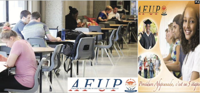 Escroquerie, association de malfaiteurs, faux et blanchiment de capitaux : La Dic démasque AFUP Canada, le top management en garde à vue