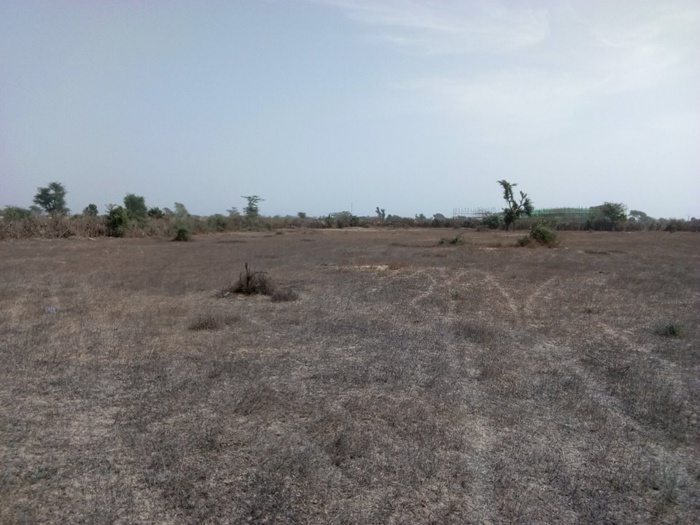 Litige Foncier : Les habitants de Diama dénoncent l’accaparement de leurs terres par le maire Oumar Mourel  Sow