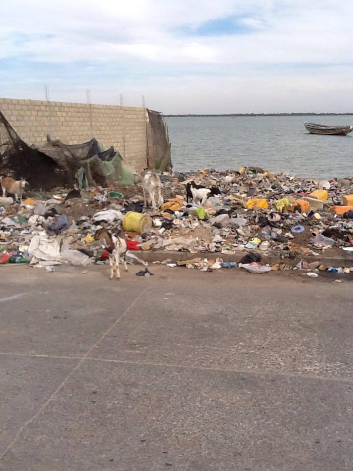 SAINT-LOUIS - Insalubrité dans le quartier de Gokhou-Mbathie : Les populations tirent la sonnette d’alarme
