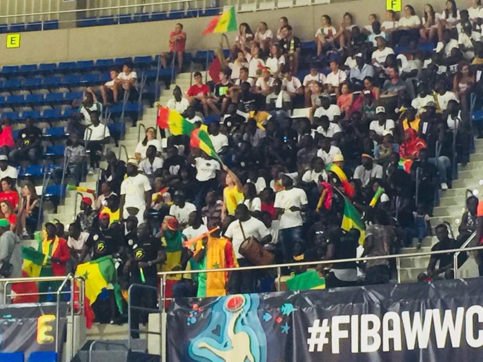 Santiago De Martin Arena : Les supporters sénégalais ont mis l'ambiance