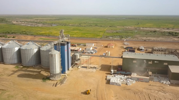 Compagnie agricole de Saint-Louis (Casl) : Les bons points de la riziculture dans la vallée Compagnie agricole de Saint-Louis (Casl) : Les bons points de la riziculture dans la vallée