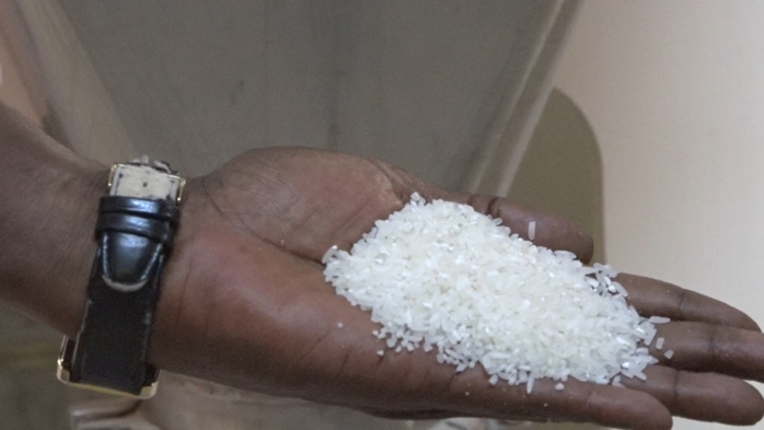 Compagnie agricole de Saint-Louis (Casl) :  Les bons points de la riziculture dans la vallée