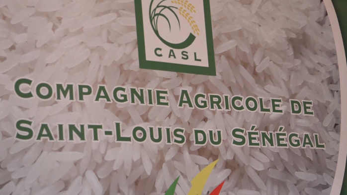 Compagnie agricole de Saint-Louis (Casl) :  Les bons points de la riziculture dans la vallée