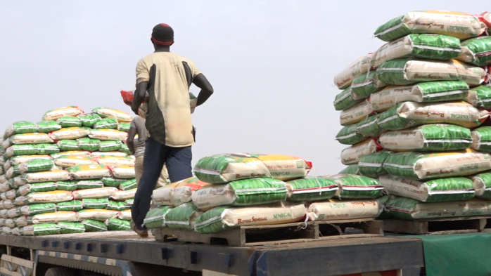 Compagnie agricole de Saint-Louis (Casl) : Les bons points de la riziculture dans la vallée Compagnie agricole de Saint-Louis (Casl) : Les bons points de la riziculture dans la vallée