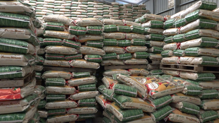 Compagnie agricole de Saint-Louis (Casl) : Les bons points de la riziculture dans la vallée Compagnie agricole de Saint-Louis (Casl) : Les bons points de la riziculture dans la vallée