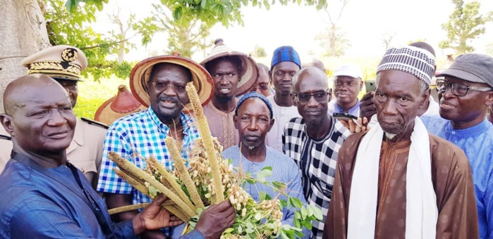 Dr Papa Abdoulaye Seck à Thiès : " On a une bonne campagne agricole matérialisée par un bon développement végétatif..." Dr Papa Abdoulaye Seck à Thiès : " On a une bonne campagne agricole matérialisée par un bon développement végétatif..."