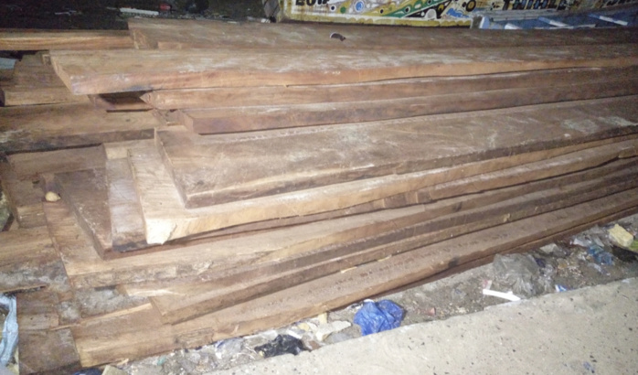 MBOUR-Trafic illicite de bois : La Gendarmerie saisit une importante quantité.