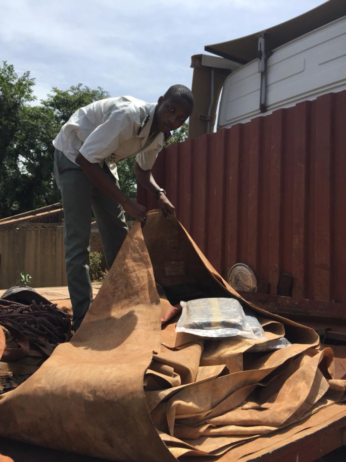 Saisie de 40 kg de chanvre indien par la Douane Sénégalaise à la frontière du Mali
