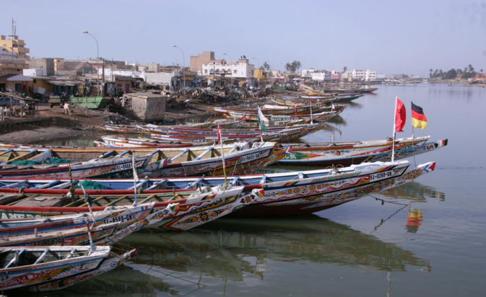 Lenteur  dans le renouvellement des licences de pêche en Mauritanie : 8.000 pêcheurs de Saint-Louis sont à quai