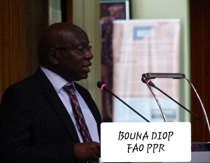 L'éradication de la peste des petits ruminants : un combat contre la pauvreté rurale . L'éradication de la peste des petits ruminants : un combat contre la pauvreté rurale .