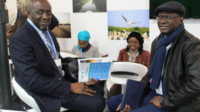 COP 24- Changements climatiques : Le Stand du Sénégal pour vendre les efforts de notre pays COP 24- Changements climatiques : Le Stand du Sénégal pour vendre les efforts de notre pays