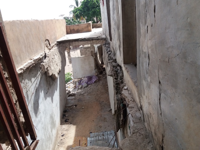 DOSSIER / Yeumbeul Nord : L'insécurité ne menace plus