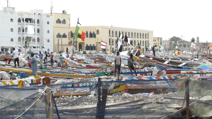Guet-Ndar / Fausse manœuvre en haute mer : Un jeune pêcheur meurt accidentellement Guet-Ndar / Fausse manœuvre en haute mer : Un jeune pêcheur meurt accidentellement