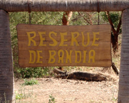 Galère : Les agents de la réserve de Bandia dénoncent leurs conditions de travail