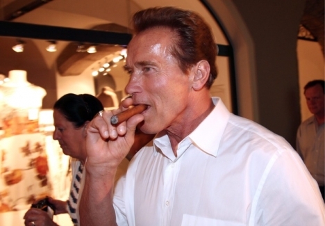 Arnold Schwarzenegger verbalisé pour avoir fumé dans un aéroport